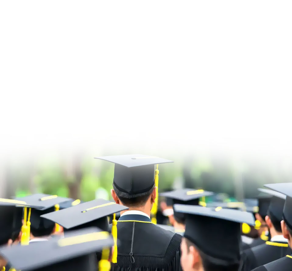 ��8ͷ�����(����)�ٷ���վ