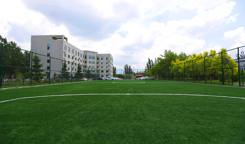 d453178b562a03902aa2e1cbba631717